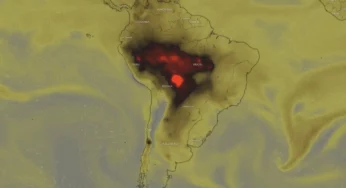 Forest Fires in Brazil and Bolivia