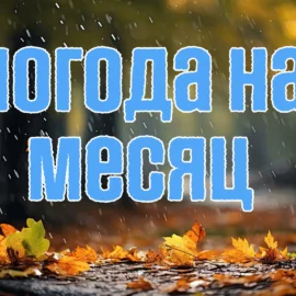 погода на месяц