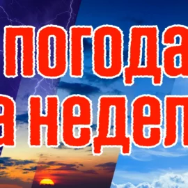 Погода на неделю