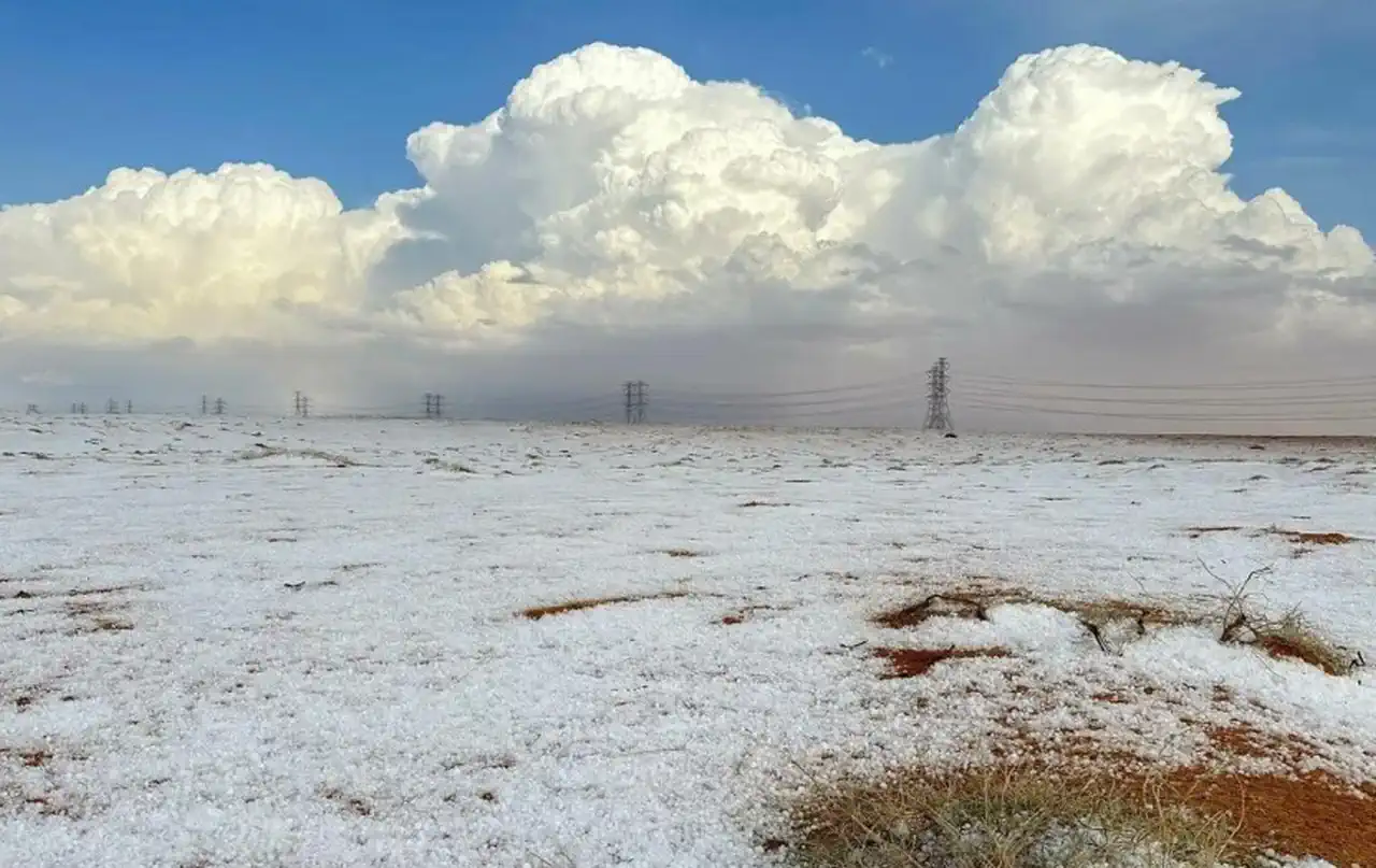 Saudi Desert