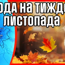 Пройде дощ з мокрим снігом. Погода на тиждень з 11 по 17 листопада.