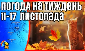 Пройде дощ з мокрим снігом. Погода на тиждень з 11 по 17 листопада.