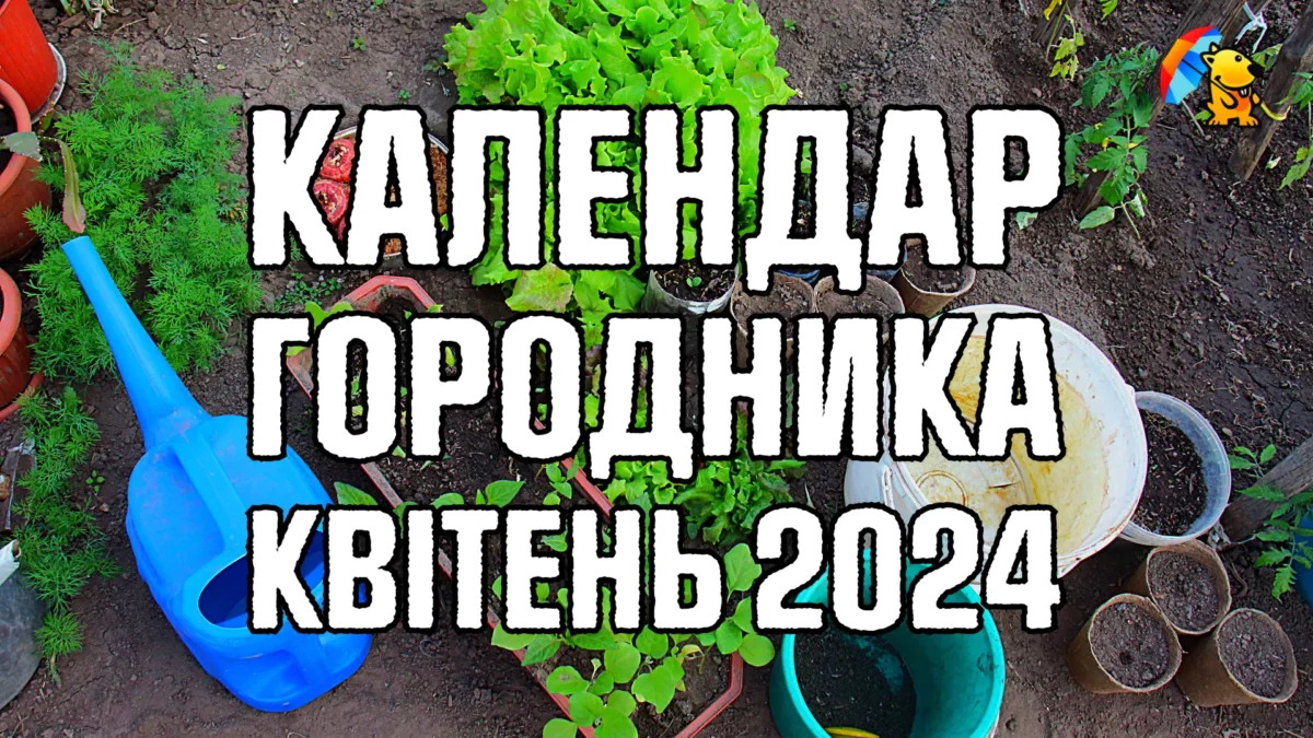 Лунный календарь огородника и садовода на январь 2024 года