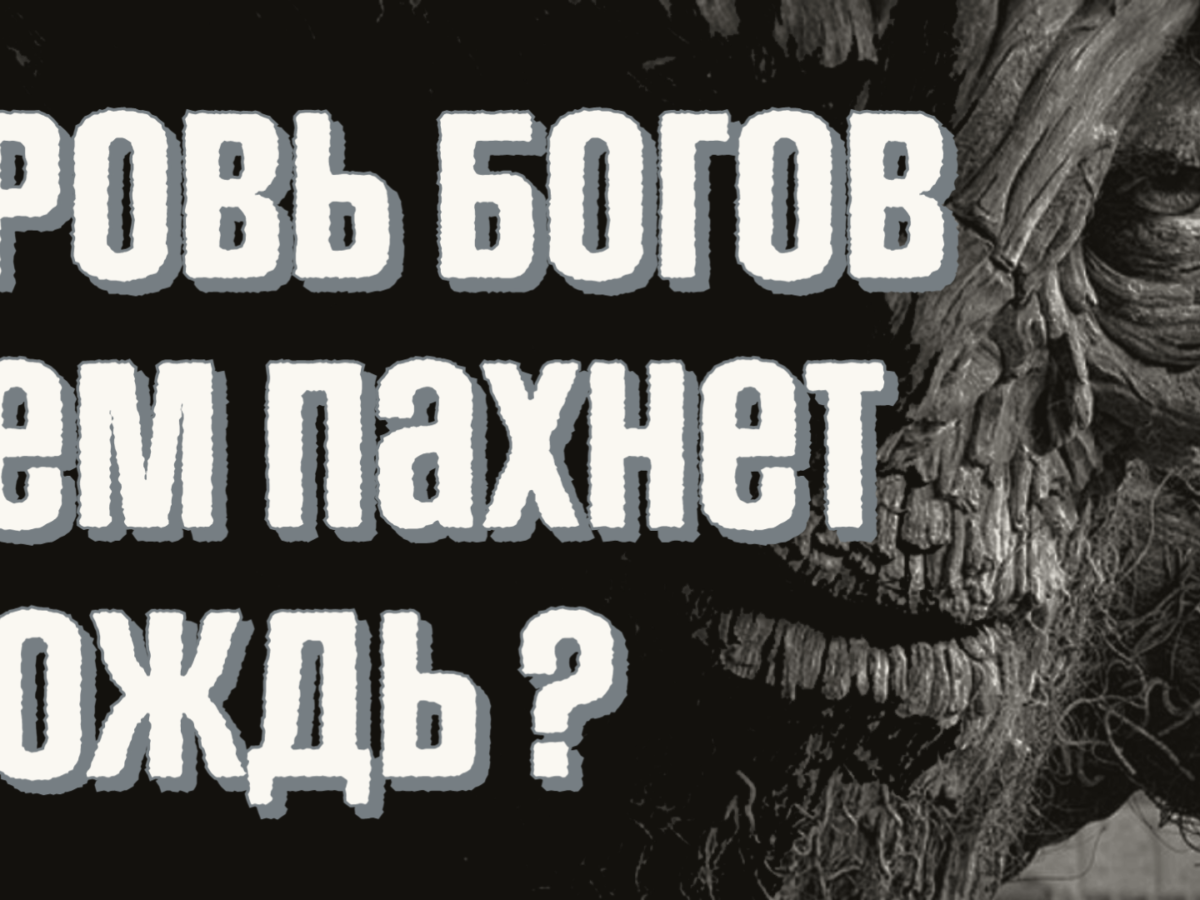 Петрикор: откуда берется приятный запах после дождя?